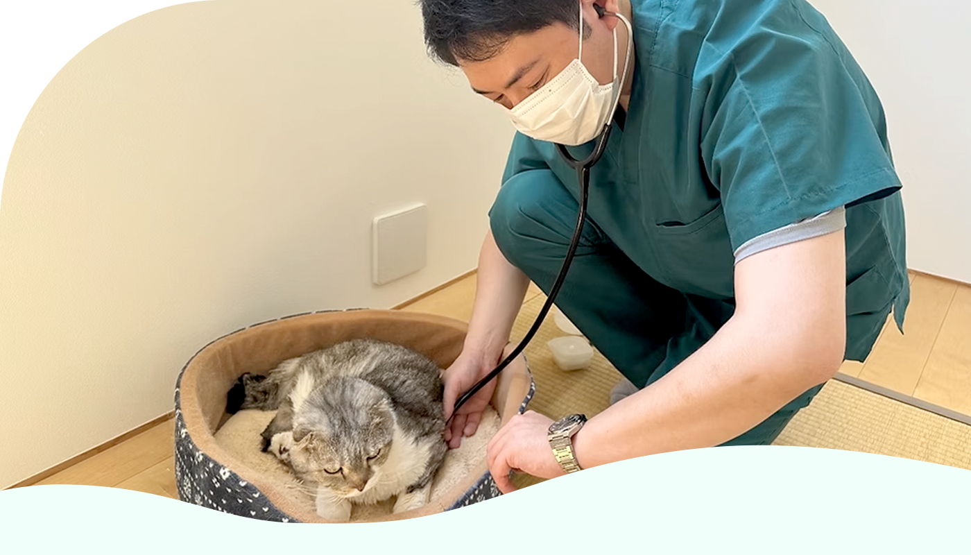 さかうえ動物病院