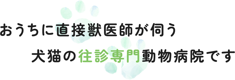 おうちに直接獣医師が伺う犬猫の往診専門動物病院です